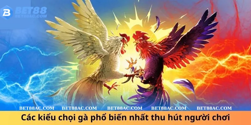 Các kiểu chọi gà phổ biến nhất thu hút người chơi