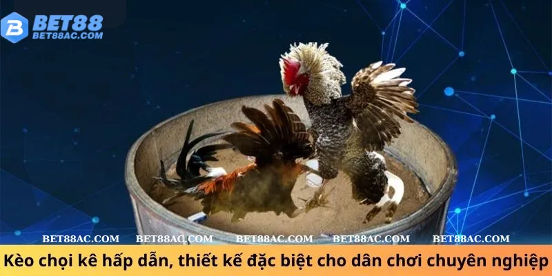 Kèo chọi kê hấp dẫn, thiết kế đặc biệt cho dân chơi chuyên nghiệp